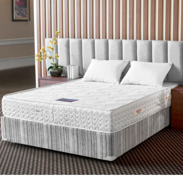 مرتبة رودان